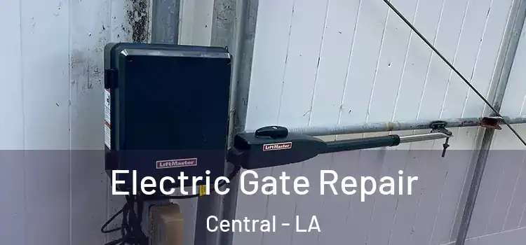Electric Gate Repair Central - LA