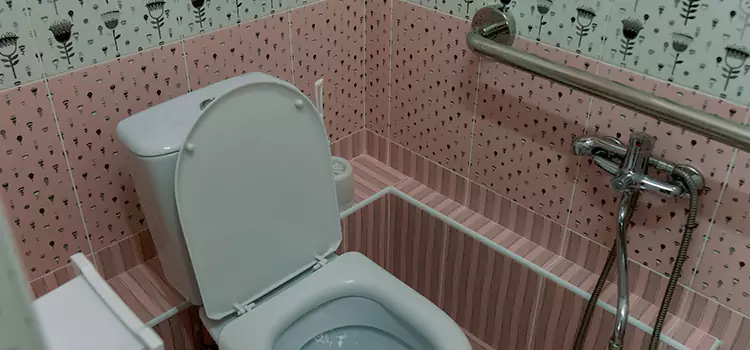 Meeting Diverse Needs With Accessible Restroom Solutions in Central, LA